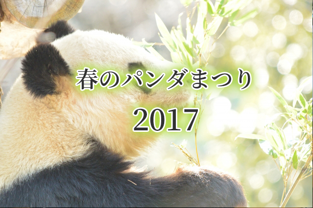 タイトル文字入れ